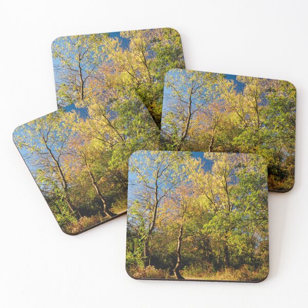 Item preview, Autumn colours bringing a forest glade to life designed and sold by Joel Bader.