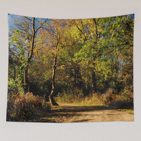 Item preview, Autumn colours bringing a forest glade to life designed and sold by Joel Bader.