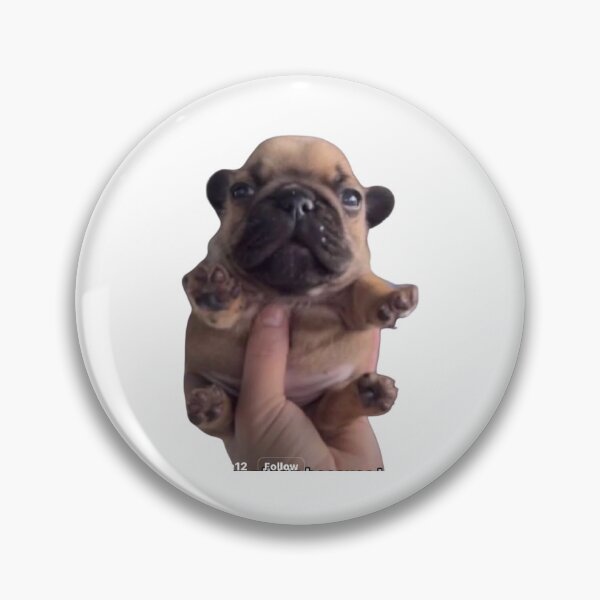 Item preview, pibble wash my bellay cute guy french bulldog 2 designed and sold by kelizzies.