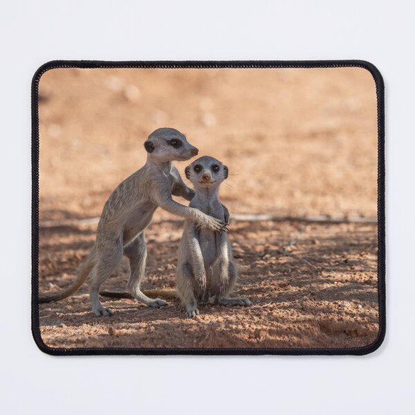 Item preview, Little Guardians — Meerkat Hug in the Kalahari designed and sold by DavideAntoniani.