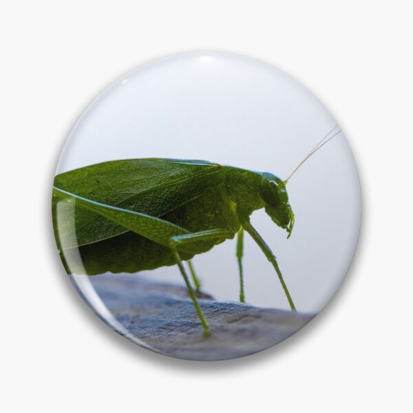 Item preview, Katydid designed and sold by ztrnorge.