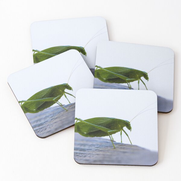 Item preview, Katydid designed and sold by ztrnorge.