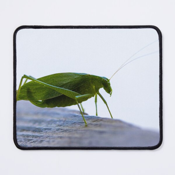 Item preview, Katydid designed and sold by ztrnorge.