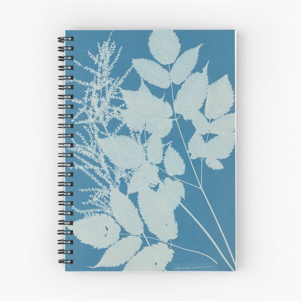 Item preview, Cyanotype of Spiraea aruncus (Tyrol) designed and sold by AnimaliaStar.