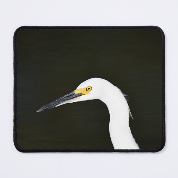 Item preview, Snowy Egret designed and sold by Glennphotos.