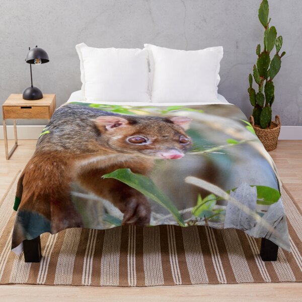 Item preview, Possum at Arkarra Lagoons designed and sold by Mark Grimsley.