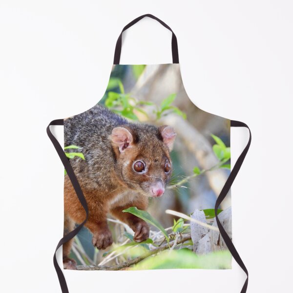 Item preview, Possum at Arkarra Lagoons designed and sold by Mark Grimsley.