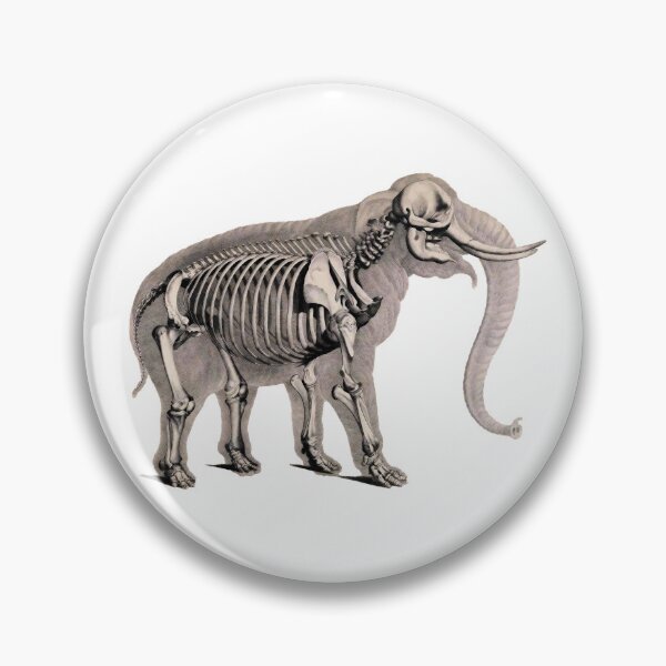 Item preview, Elephant and its skeleton designed and sold by Javotte Art / Gab Dessine.
