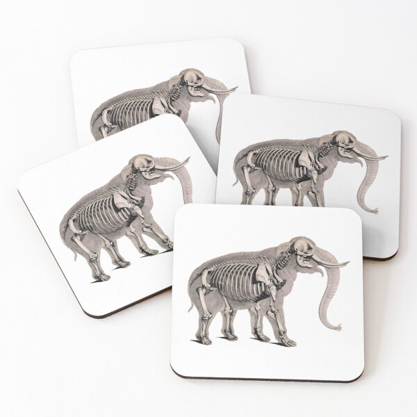 Item preview, Elephant and its skeleton designed and sold by Javotte Art / Gab Dessine.
