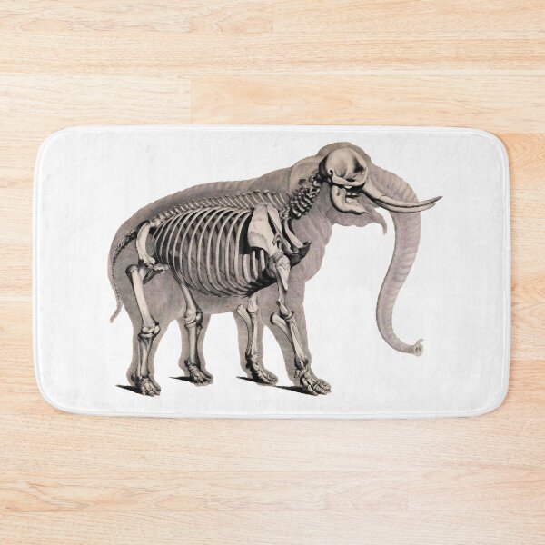 Item preview, Elephant and its skeleton designed and sold by Javotte Art / Gab Dessine.