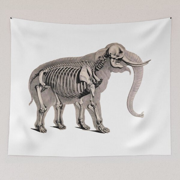 Item preview, Elephant and its skeleton designed and sold by Javotte Art / Gab Dessine.