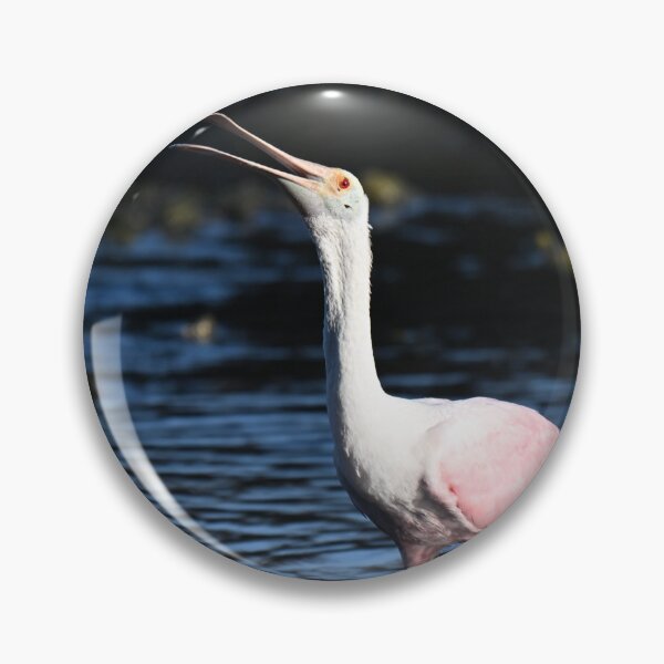 Item preview, Roseate Spoonbill designed and sold by Glennphotos.