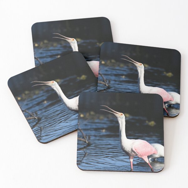 Item preview, Roseate Spoonbill designed and sold by Glennphotos.