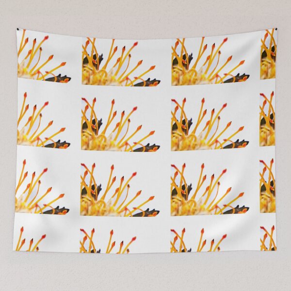 Item preview, Longing For Light designed and sold by Denise Abé.