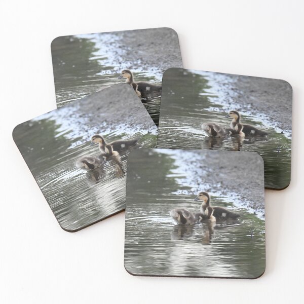 Item preview, Muscovy ducklings designed and sold by Glennphotos.