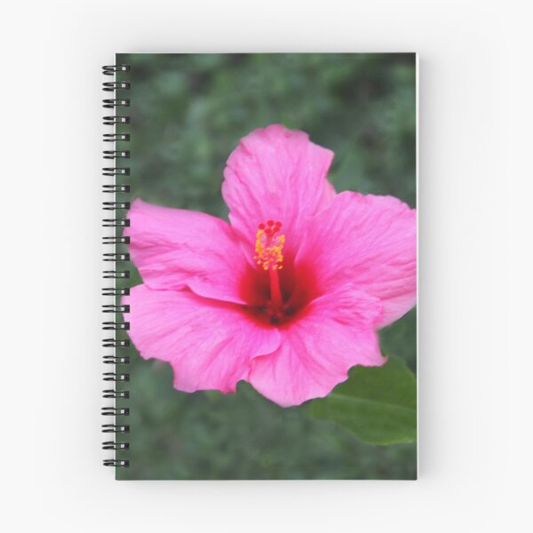 Item preview, Nature's Perfection designed and sold by heatherfriedman.