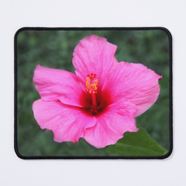Item preview, Nature's Perfection designed and sold by heatherfriedman.