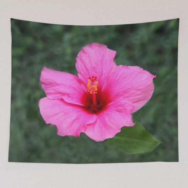 Item preview, Nature's Perfection designed and sold by heatherfriedman.