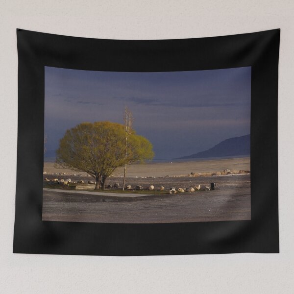 Item preview, Great Salt Lake designed and sold by John Michael Smith.