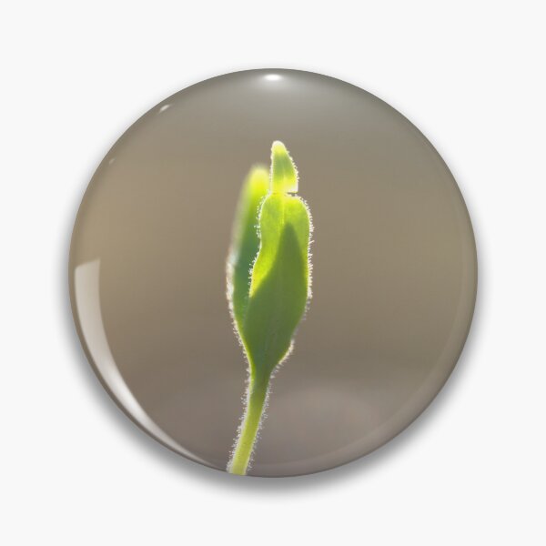 Item preview, Tomato Seedling with Leaves Emerging from Fuzzy Stem designed and sold by Petalgrain.
