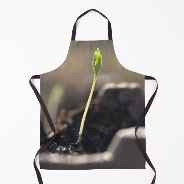 Item preview, Tomato Seedling with Leaves Emerging from Fuzzy Stem designed and sold by Petalgrain.