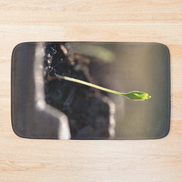 Item preview, Tomato Seedling with Leaves Emerging from Fuzzy Stem designed and sold by Petalgrain.