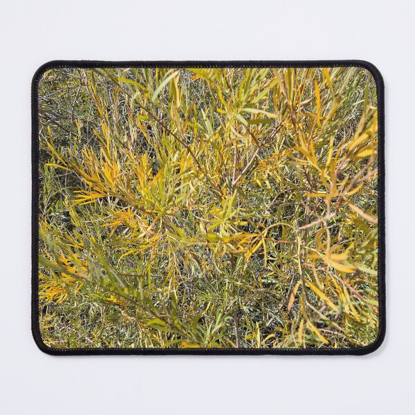 Item preview, Nature's Texture designed and sold by Betsy Phillips.