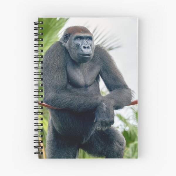 Item preview, Curious Gorilla Standing Tall designed and sold by rawshutterbug.