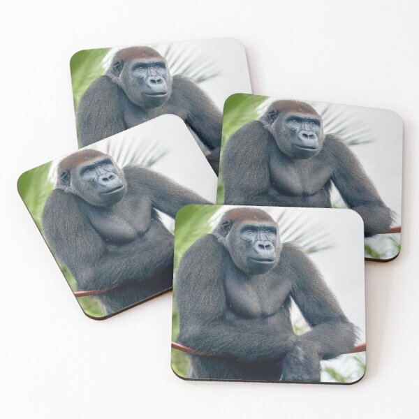 Item preview, Curious Gorilla Standing Tall designed and sold by rawshutterbug.