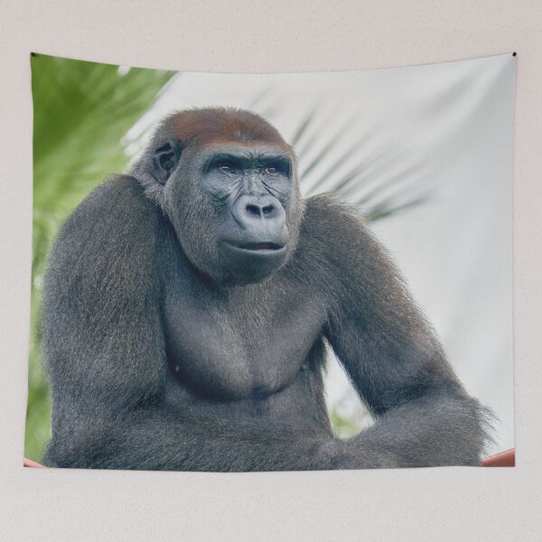 Item preview, Curious Gorilla Standing Tall designed and sold by rawshutterbug.