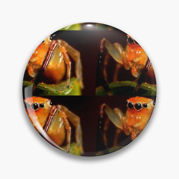 Item preview, Spiders Artwork  designed and sold by 3triadstore.