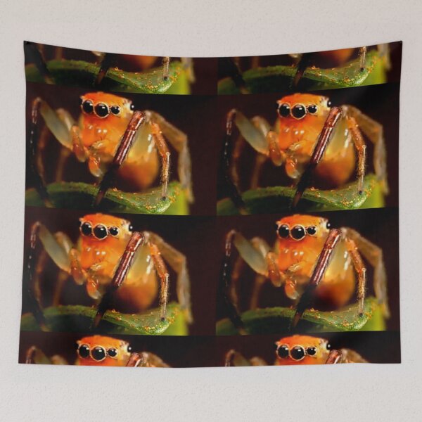 Item preview, Spiders Artwork  designed and sold by 3triadstore.