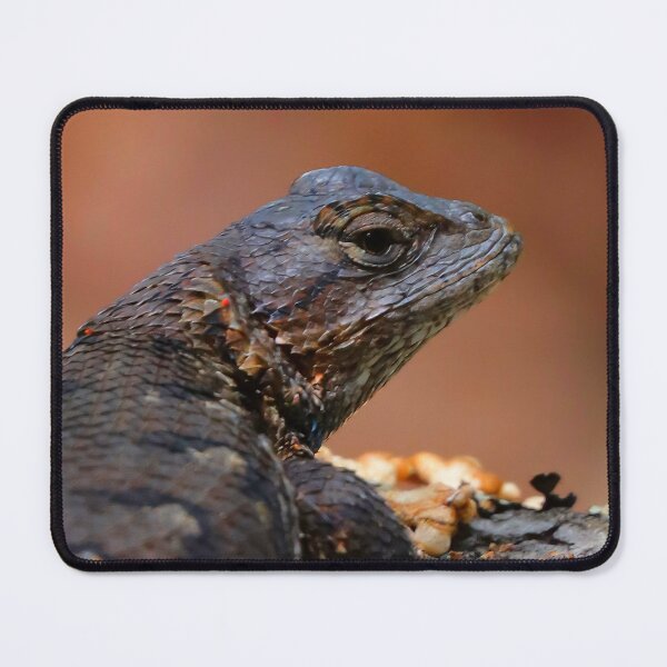 Item preview, Fence Lizard  designed and sold by Parks and X.