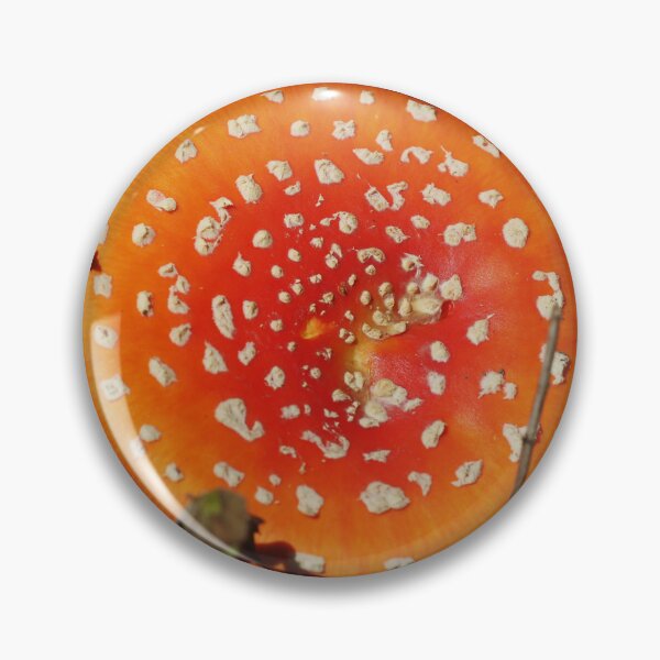 Item preview, Autumn woodland scene. designed and sold by Christian Moss.