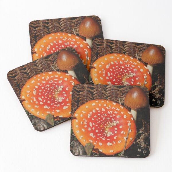 Item preview, Autumn woodland scene. designed and sold by Christian Moss.