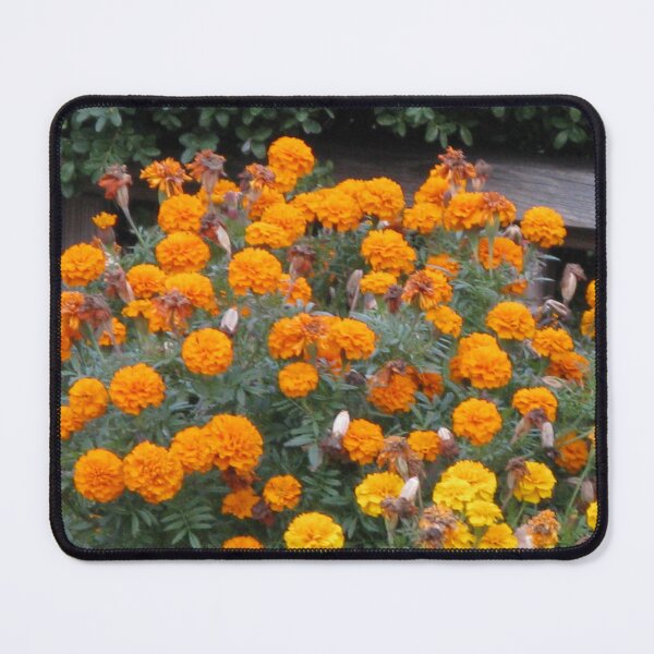 Item preview, Blooming Merigold's designed and sold by Photography On The Fly.
