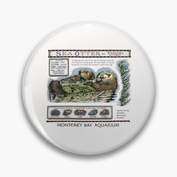 Item preview, Sea Otters Monterey Bay Aquarium  designed and sold by jillianhanna.