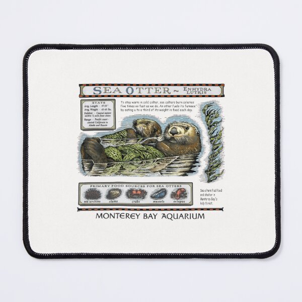 Item preview, Sea Otters Monterey Bay Aquarium  designed and sold by jillianhanna.