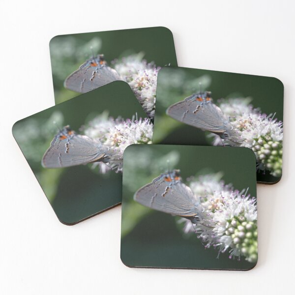 Item preview, Gray Hairstreak Butterfly Nectaring on Mint - Angled View designed and sold by Petalgrain.