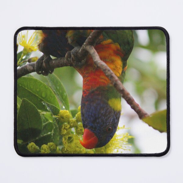 Item preview, hang in there! designed and sold by ljdewet.