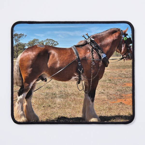 Item preview, Clydesdale horse with harness, Australia designed and sold by FranWest.