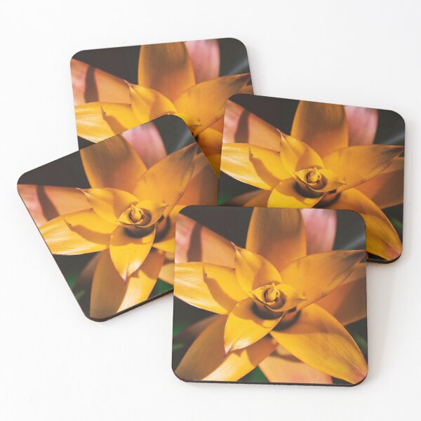 Item preview, Bromeliad designed and sold by carolmaia.