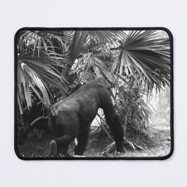 Item preview, Gorilla Among Palm Trees designed and sold by MercerImages.