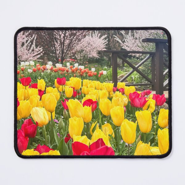Item preview, Bright Red and Yellow Tulips Beside Wooden Bridge designed and sold by Be Captured by Brittany Emma.