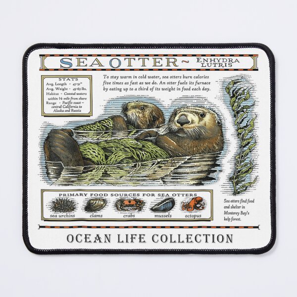 Item preview, Sea Otter Enhydra Lutris Vintage Nautical Ocean Life Stats designed and sold by Altenpendinton.