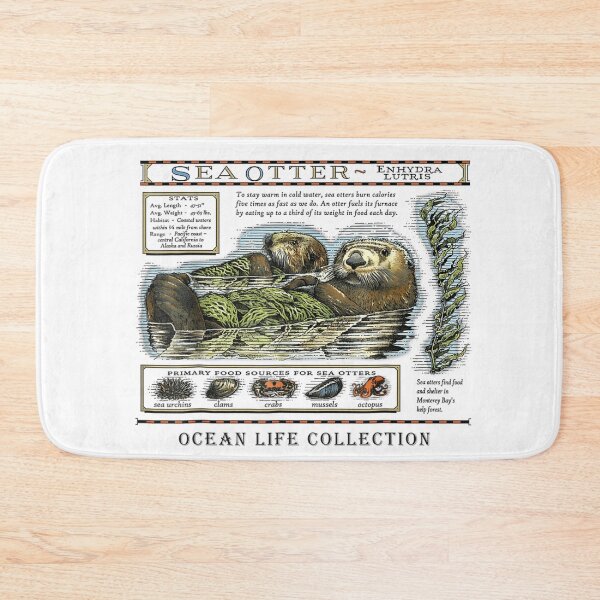 Item preview, Sea Otter Enhydra Lutris Vintage Nautical Ocean Life Stats designed and sold by Altenpendinton.