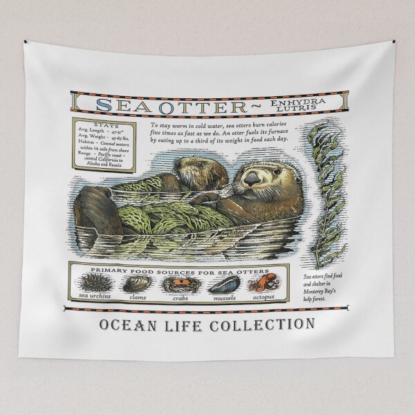 Item preview, Sea Otter Enhydra Lutris Vintage Nautical Ocean Life Stats designed and sold by Altenpendinton.
