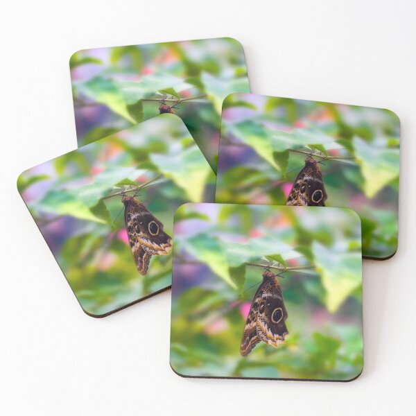 Item preview, Yellow-Edged Giant Owl Butterfly designed and sold by JeanKellyPhoto.