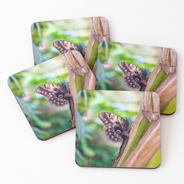 Item preview, Giant Owl Butterfly designed and sold by JeanKellyPhoto.