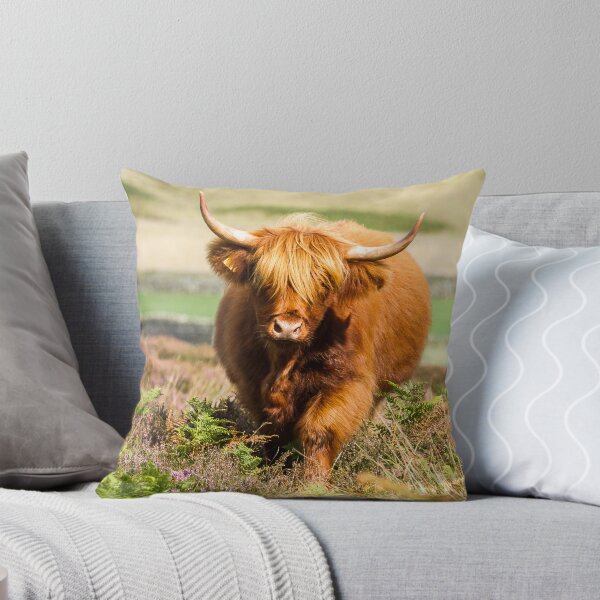 Item preview, Highland Cow in Fern designed and sold by Jane Stanley Photography.